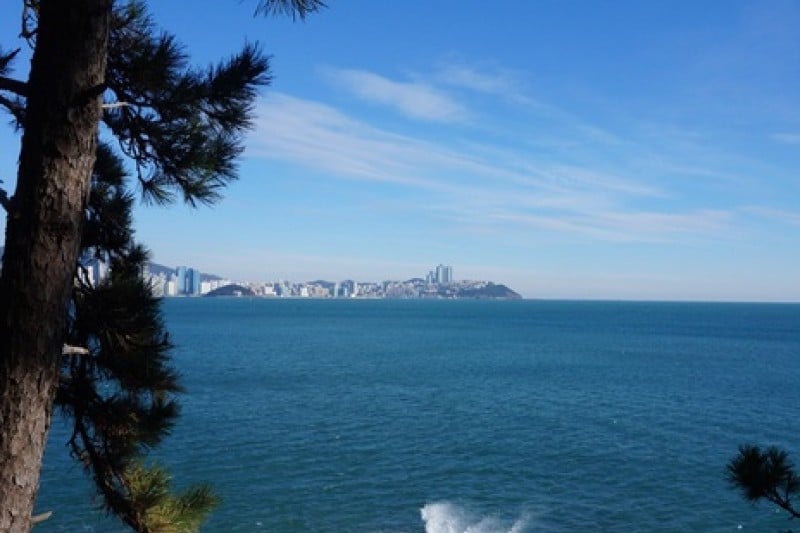 Igidae Park  (33/37)