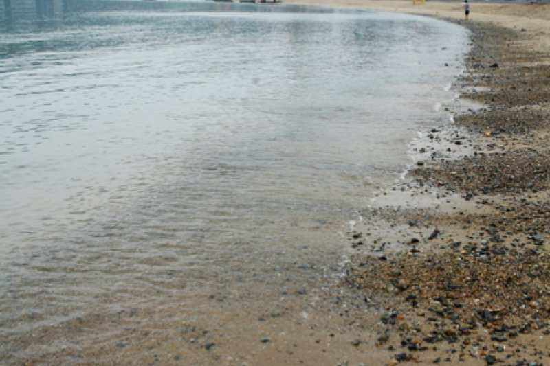Ilgwang Beach  (17/28)