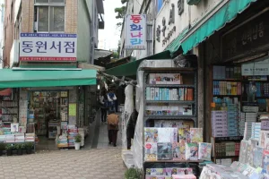 Yongdusan Jagalchi Special Tourist Zone 