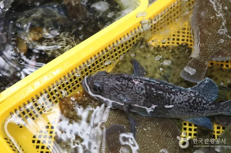 Millak Raw Fish Town  (2/7)