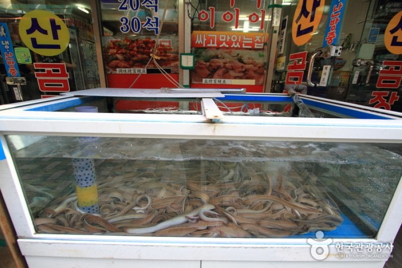 Jagalchi Sangomjangeo (자갈치 산곰장어) (3/5)