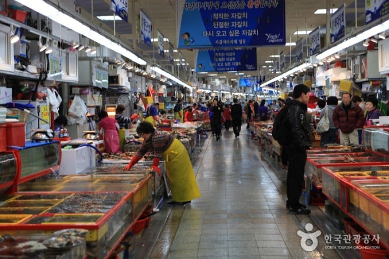 Jagalchi Market (부산 자갈치시장) (1/17)
