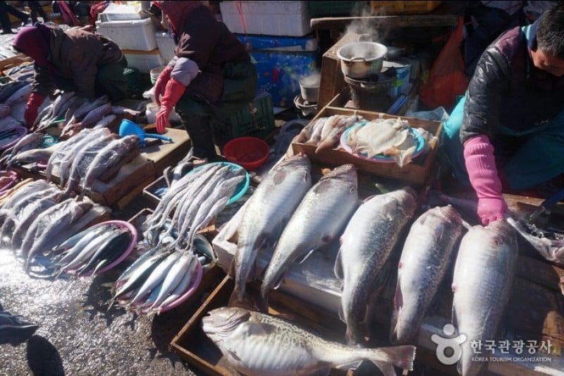 Jagalchi Market (부산 자갈치시장) (5/17)