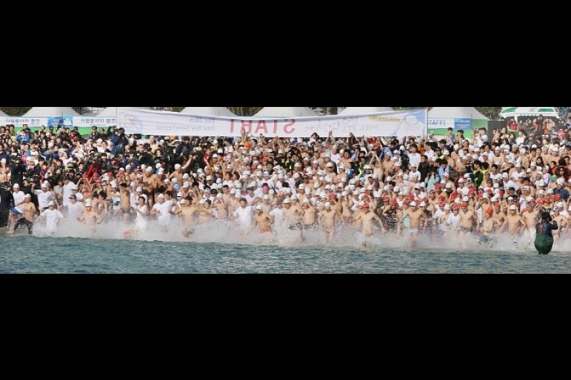 Polar Bear Swimming Contest  (6/6)