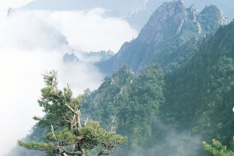 Seoraksan National Park  (OeSeorak; Outer Seorak) 