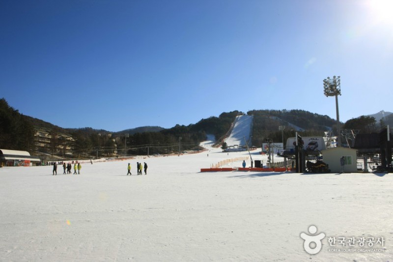 Yongpyong Ski Resort  (1/45)
