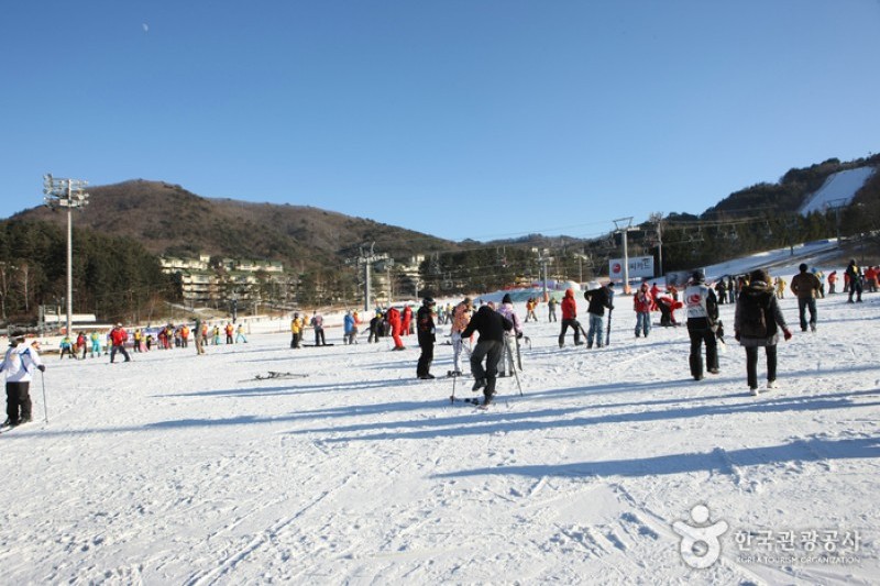 Yongpyong Ski Resort  (2/45)