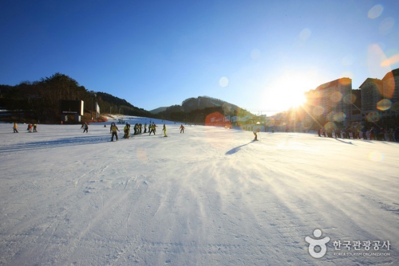 Yongpyong Ski Resort  (3/45)