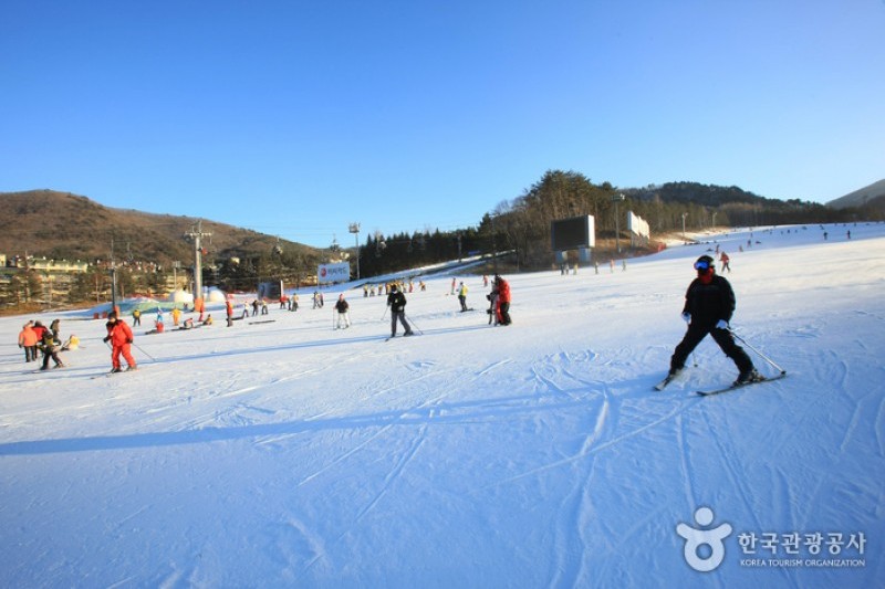 Yongpyong Ski Resort  (5/45)