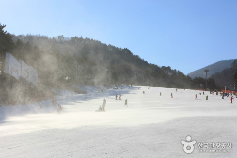 Yongpyong Ski Resort  (6/45)
