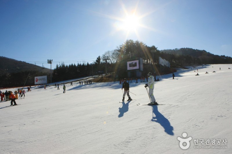 Yongpyong Ski Resort  (7/45)