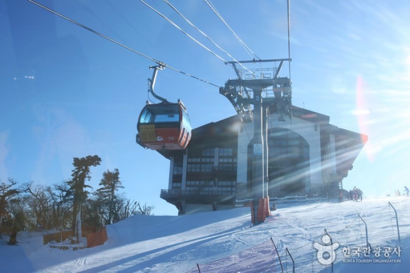 Yongpyong Ski Resort  (8/45)