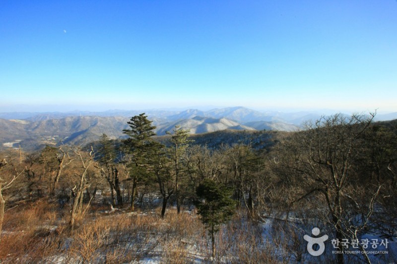 Yongpyong Ski Resort  (9/45)