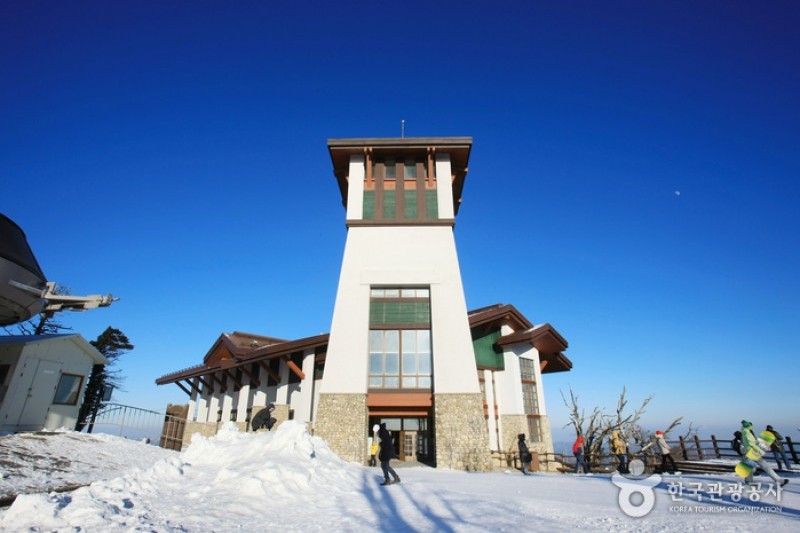 Yongpyong Ski Resort  (13/45)