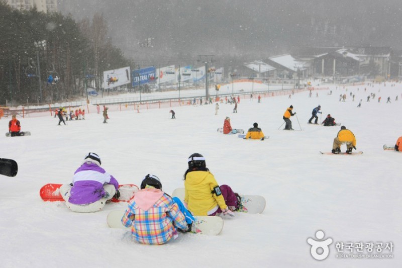 Yongpyong Ski Resort  (14/45)
