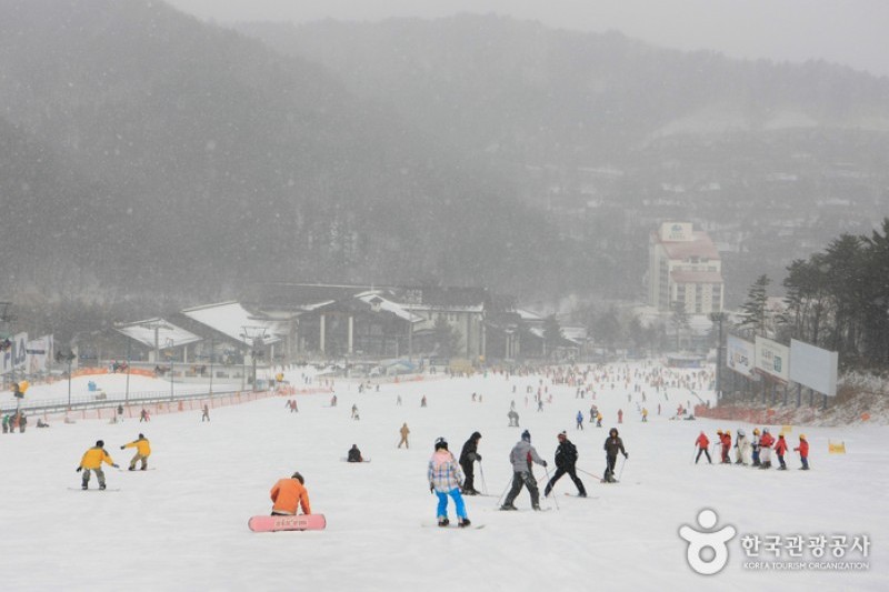 Yongpyong Ski Resort  (15/45)