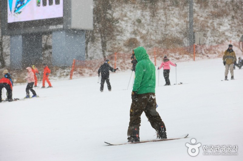 Yongpyong Ski Resort  (17/45)