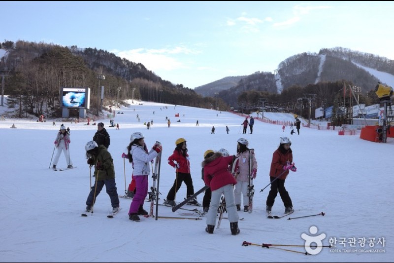 Yongpyong Ski Resort  (19/45)