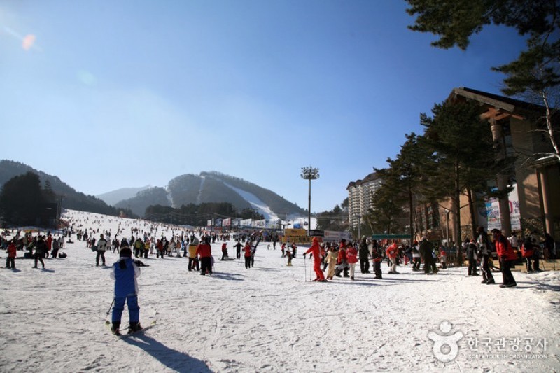 Yongpyong Ski Resort  (27/45)