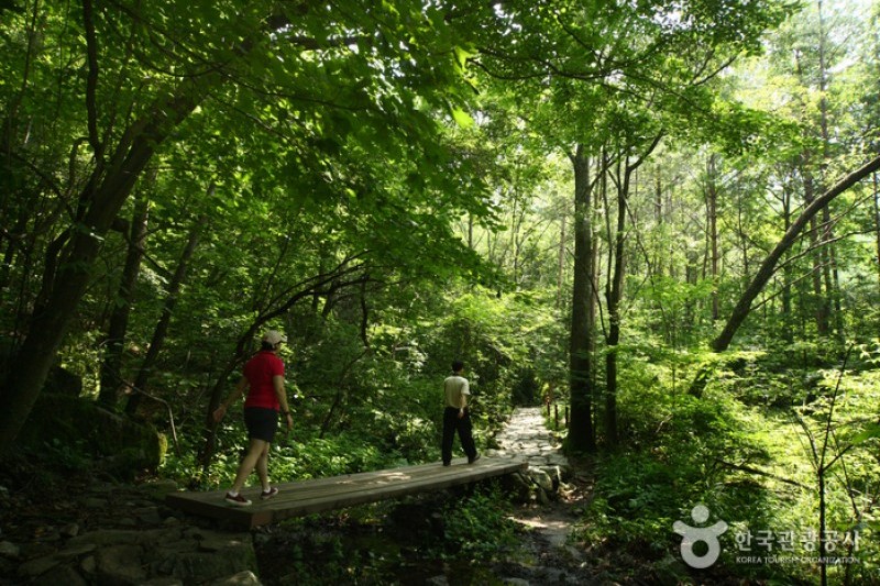 Seoraksan National Park (NaeSeorak; Inner Seorak) (4/6)