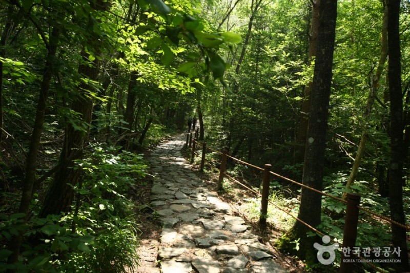 Seoraksan National Park (NaeSeorak; Inner Seorak) (5/6)