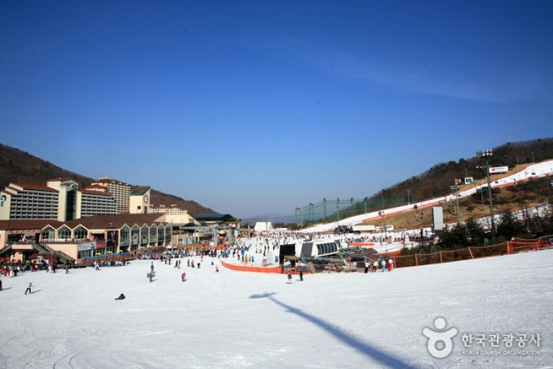 Daemyung Vivaldi Park Ski World  (6/20)