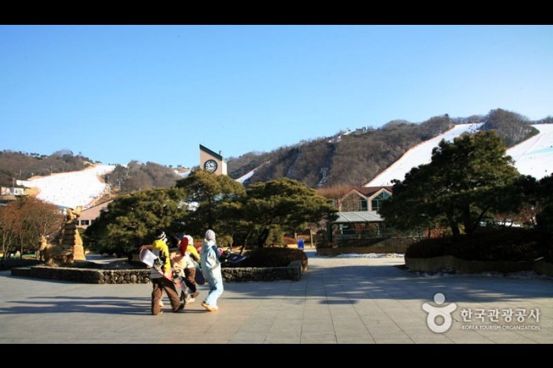 Daemyung Vivaldi Park Ski World  (8/20)