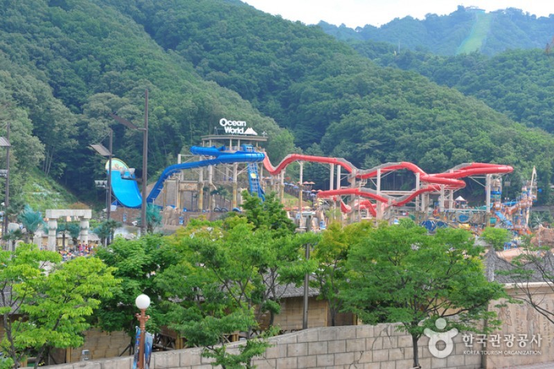 Vivaldi Park Ocean World  (1/12)