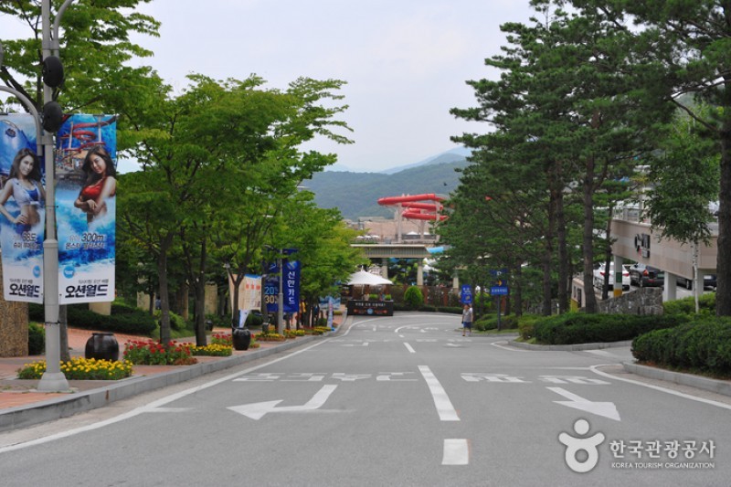 Vivaldi Park Ocean World  (2/12)