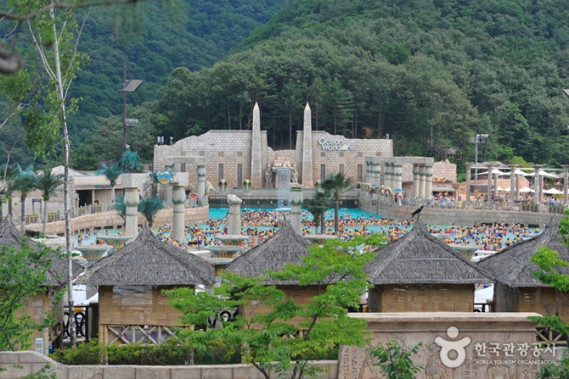 Vivaldi Park Ocean World  (3/12)