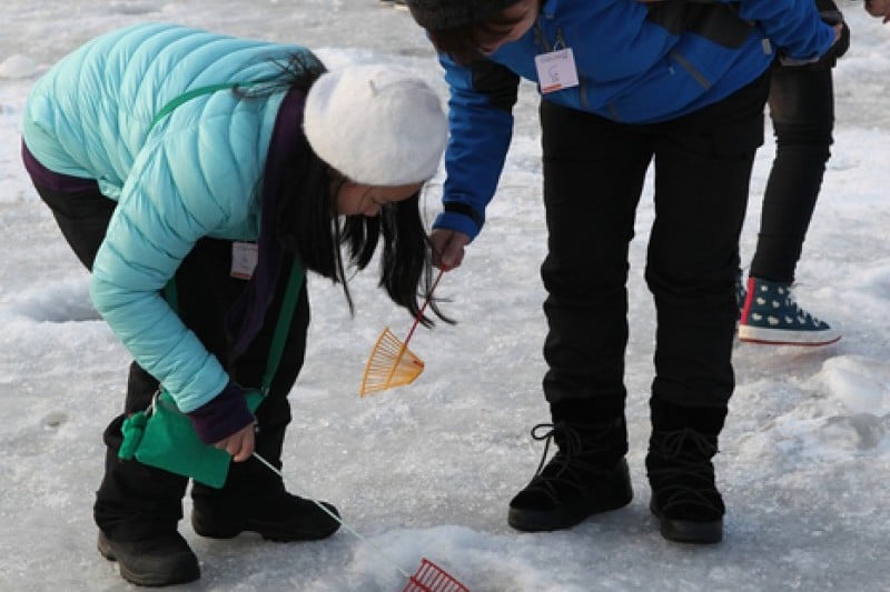 Hwacheon Sancheoneo (Mountain Trout) Ice Festival  (1/12)