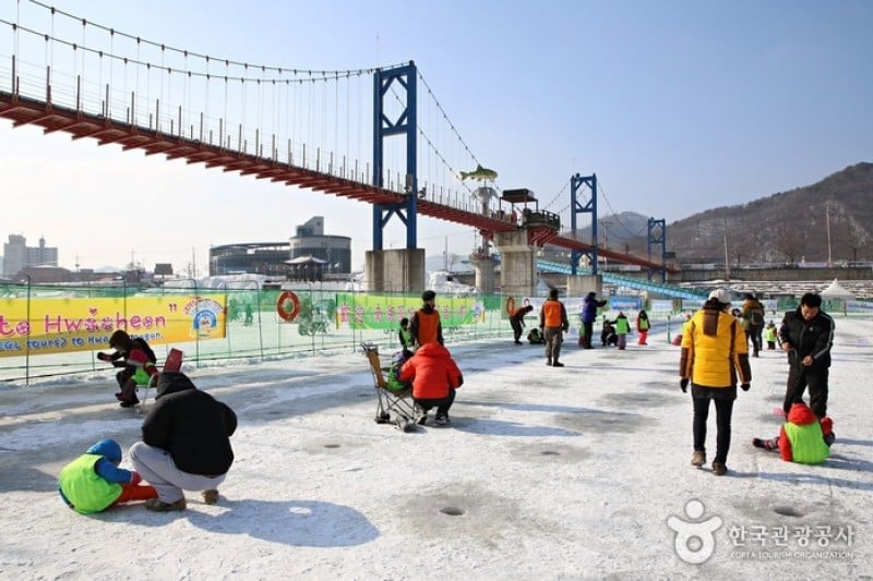 Hwacheon Sancheoneo (Mountain Trout) Ice Festival  (5/12)