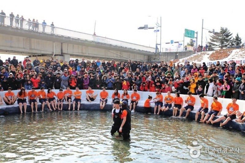 Hwacheon Sancheoneo (Mountain Trout) Ice Festival  (6/12)