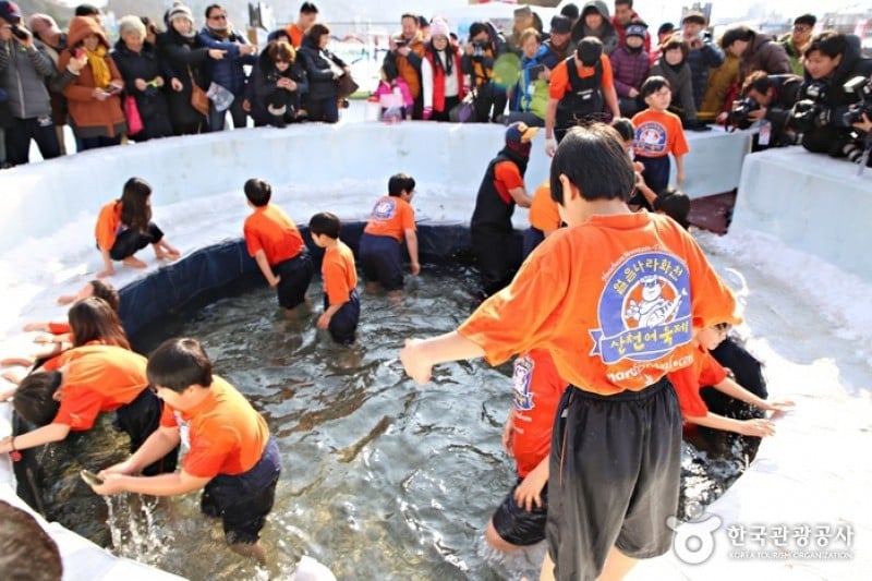 Hwacheon Sancheoneo (Mountain Trout) Ice Festival  (7/12)