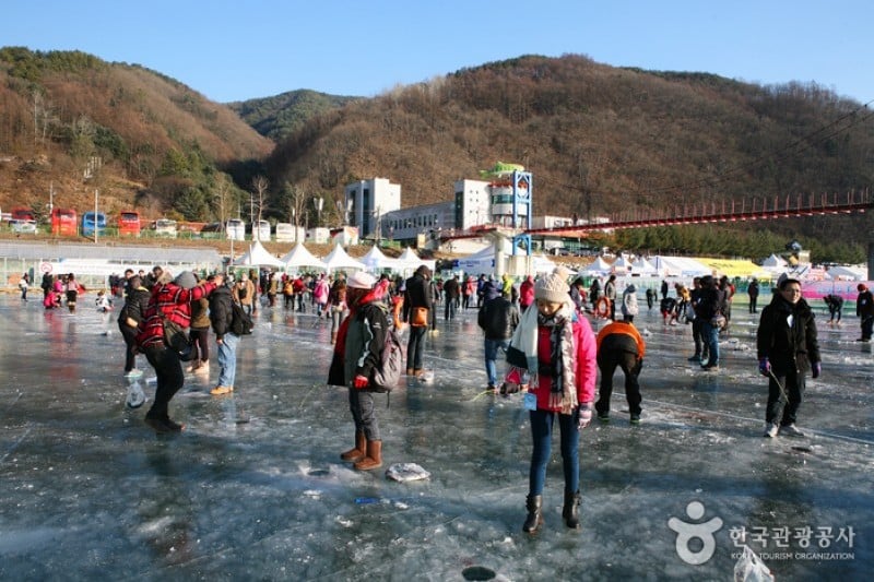 Hwacheon Sancheoneo (Mountain Trout) Ice Festival  (10/12)