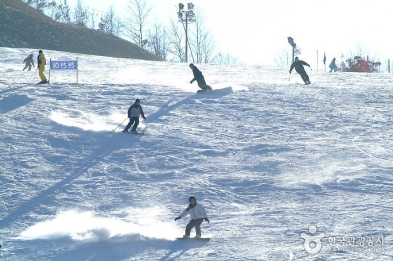 Elysian Gangchon Ski Resort  (3/18)