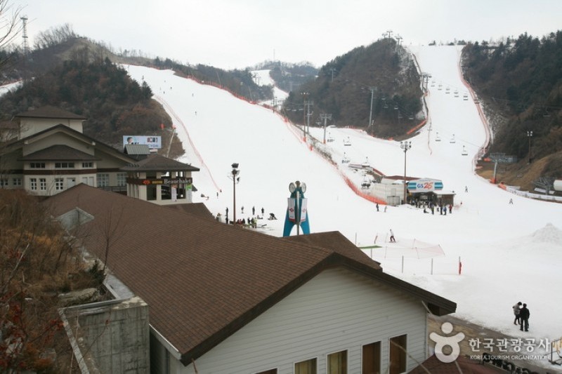 Elysian Gangchon Ski Resort  (8/18)