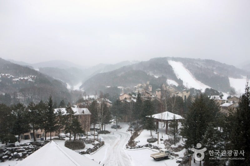 Yongpyong Resort  (11/16)