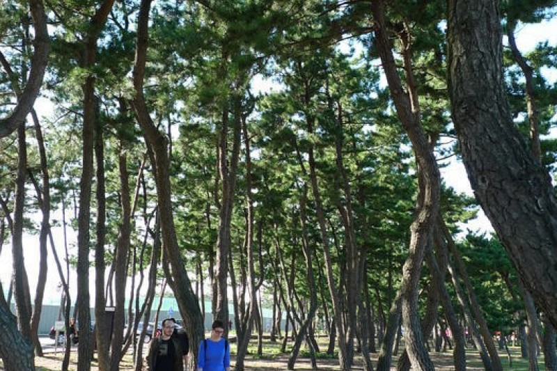 Gangneung Gyeongpo Beach  (3/13)