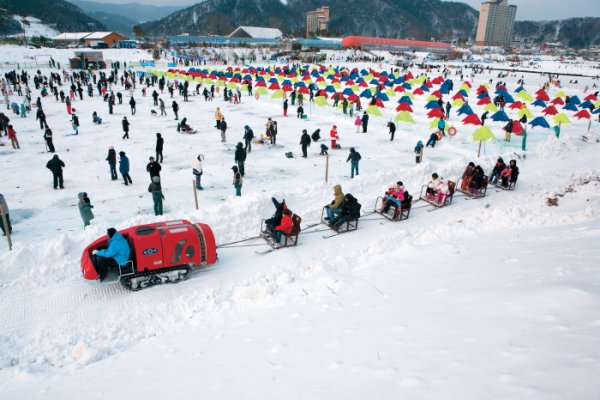 Pyeongchang Trout Festival