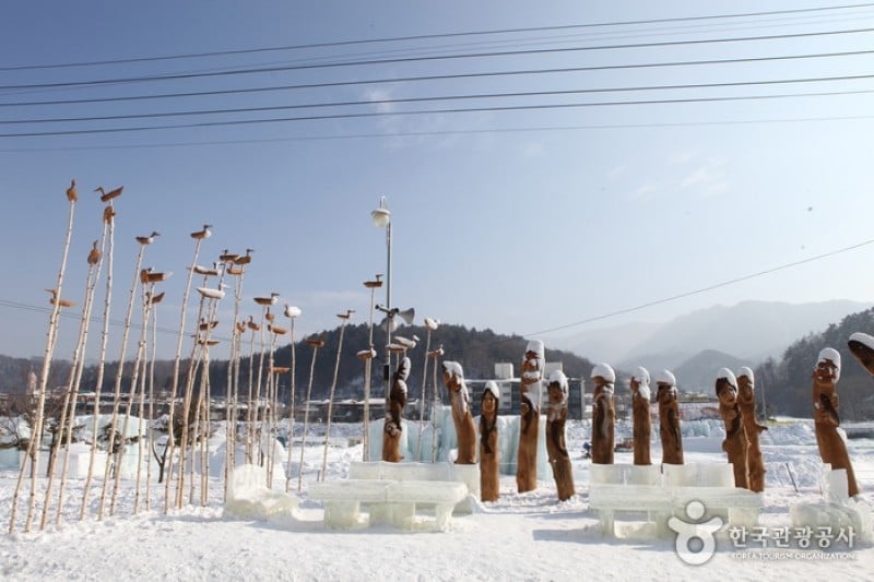 Pyeongchang Trout Festival  (2/6)