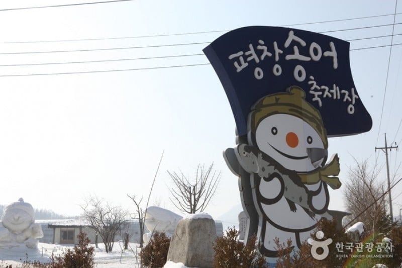 Pyeongchang Trout Festival  (3/6)