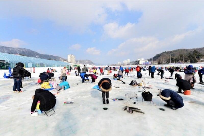 Pyeongchang Trout Festival  (4/6)