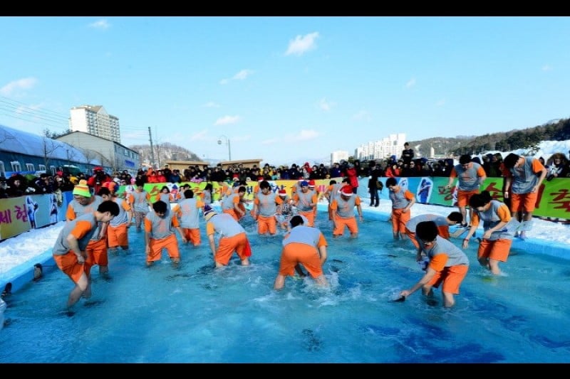 Pyeongchang Trout Festival  (5/6)