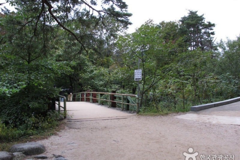 Sinheungsa Temple  (Seoraksan) (5/20)