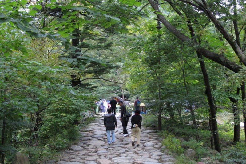 Sinheungsa Temple  (Seoraksan) (6/20)