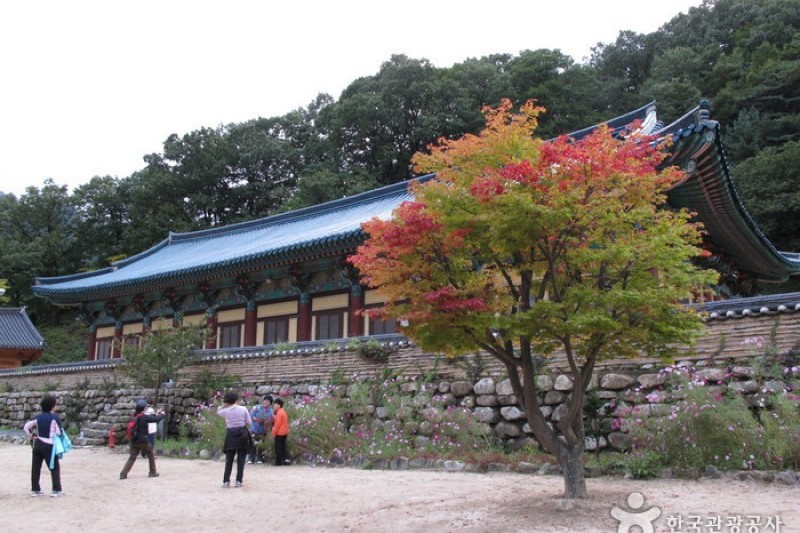 Sinheungsa Temple  (Seoraksan) (15/20)