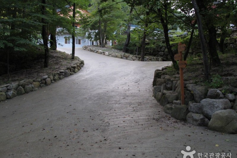 Sinheungsa Temple  (Seoraksan) (16/20)