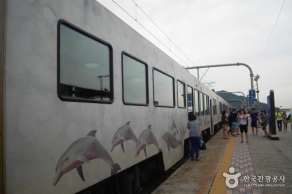 Sea Train