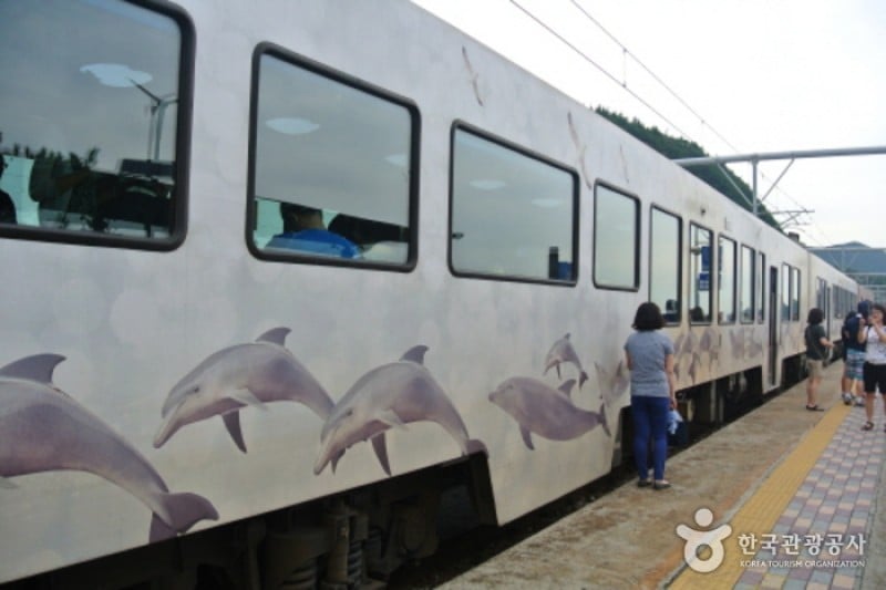 Sea Train  (1/3)